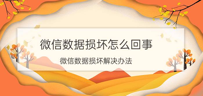 微信数据损坏怎么回事 微信数据损坏解决办法